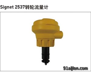 +GF+ Signet 2537转轮流量计