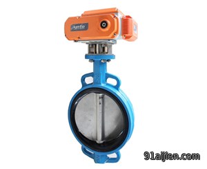 不锈钢电动蝶阀AC220V/DC24V