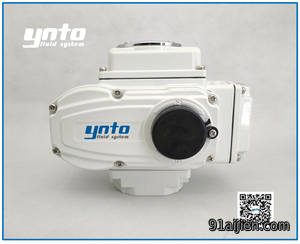YNTO05-400电动执行器